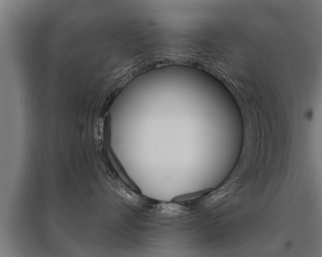 X0000096130528200801180832