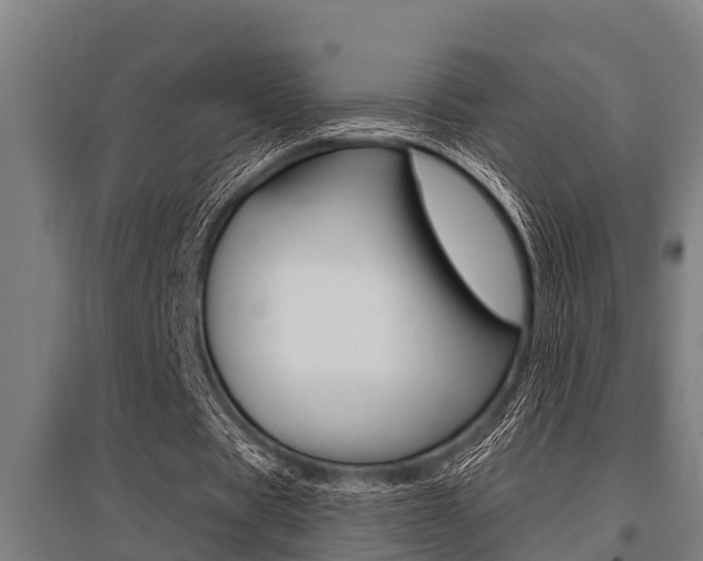 X0000096130529200801180831