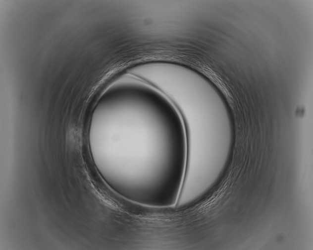 X0000096130530200801180831