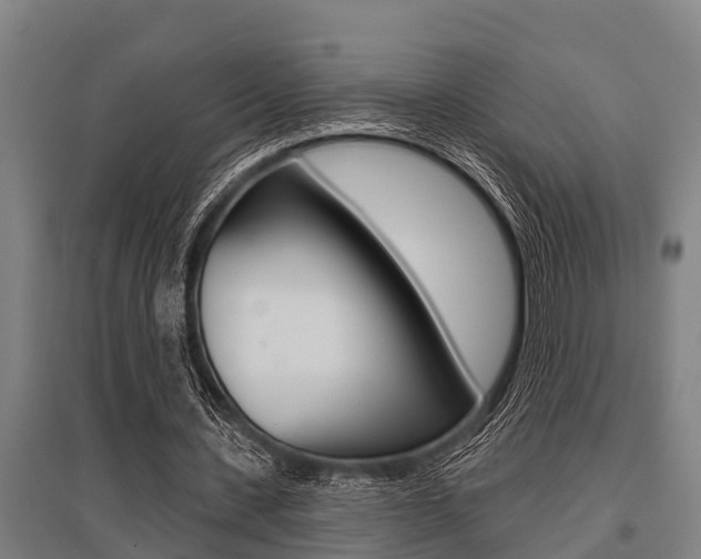 X0000096130531200801180831