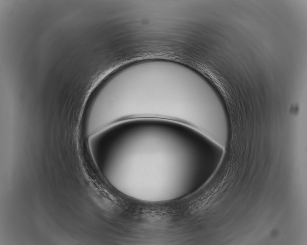 X0000096130532200801180831