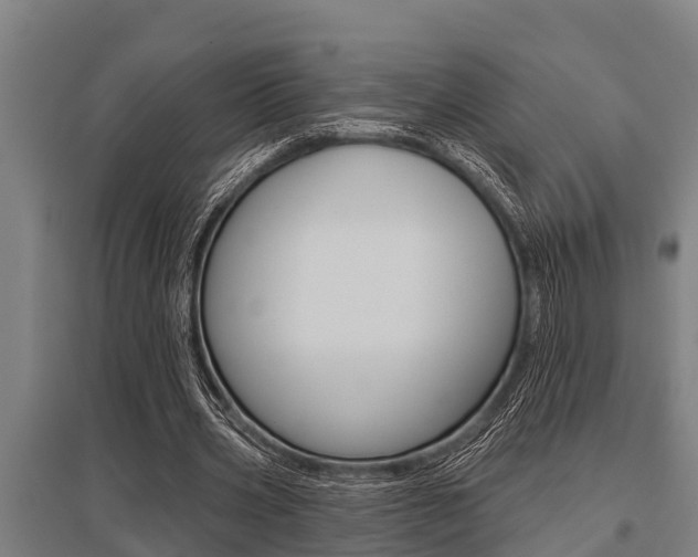 X0000096130533200801180831