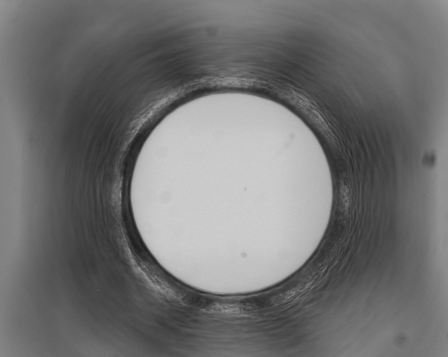 X0000096130534200801180831