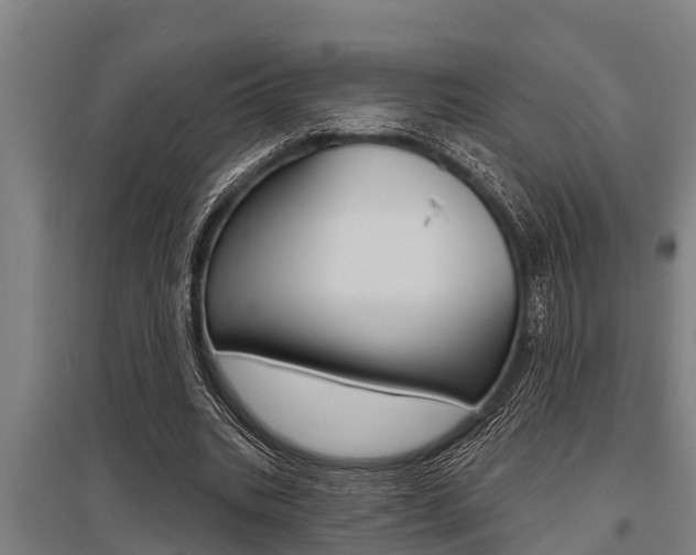 X0000096130535200801180831