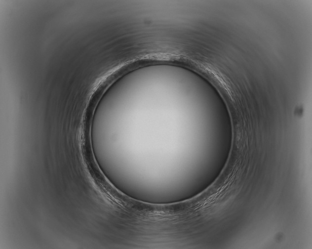 X0000096130536200801180831