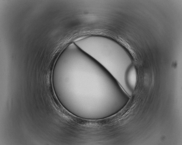X0000096130537200801180831