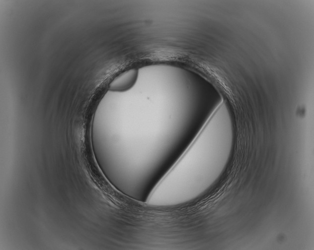 X0000096130539200801180831