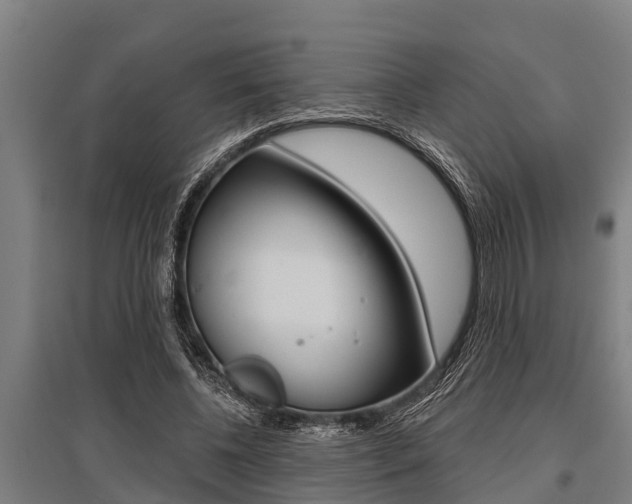 X0000096130540200801180831