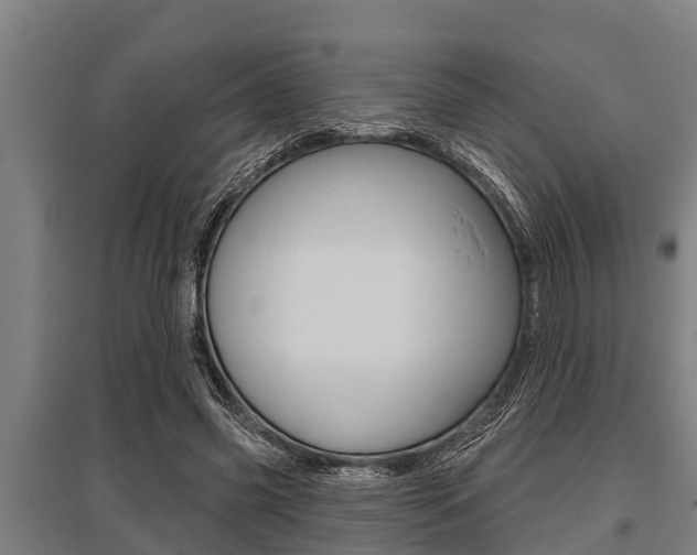 X0000096130541200801180831