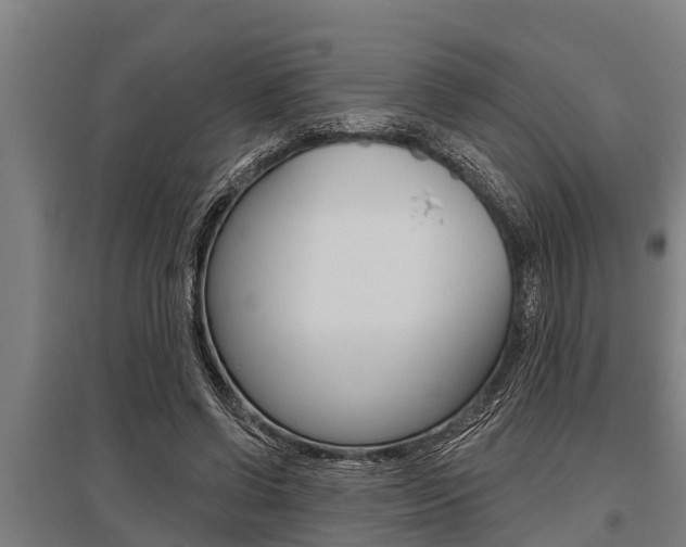 X0000096130542200801180831