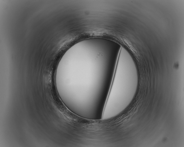 X0000096130543200801180831