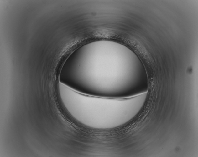 X0000096130544200801180831