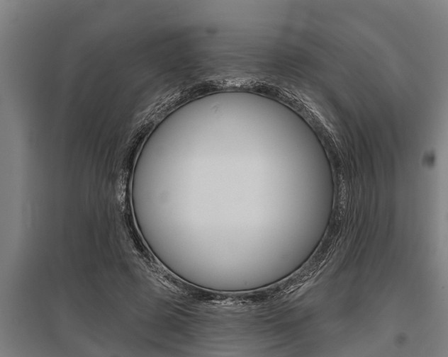 X0000096130545200801180831