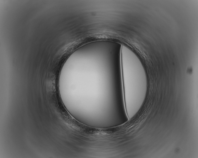 X0000096130547200801180831