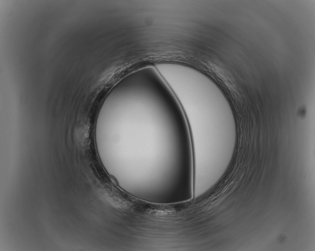 X0000096130548200801180831