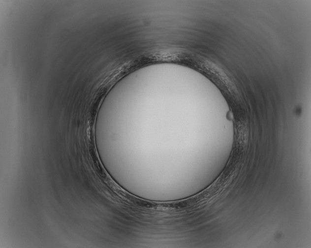 X0000096130549200801180831