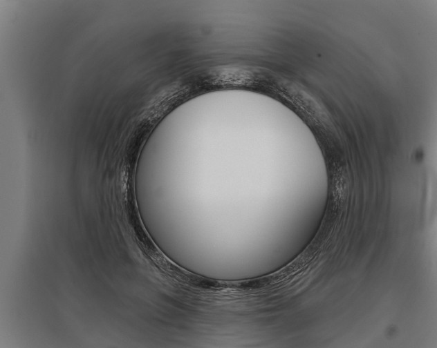 X0000096130551200801180832