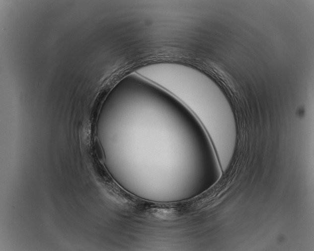 X0000096130552200801180832