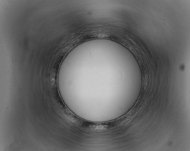 X0000096130553200801180832