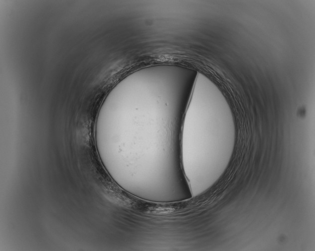 X0000096130554200801180832