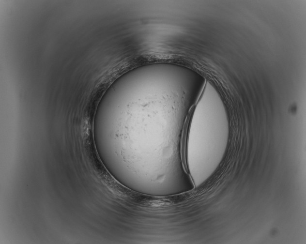 X0000096130555200801180832