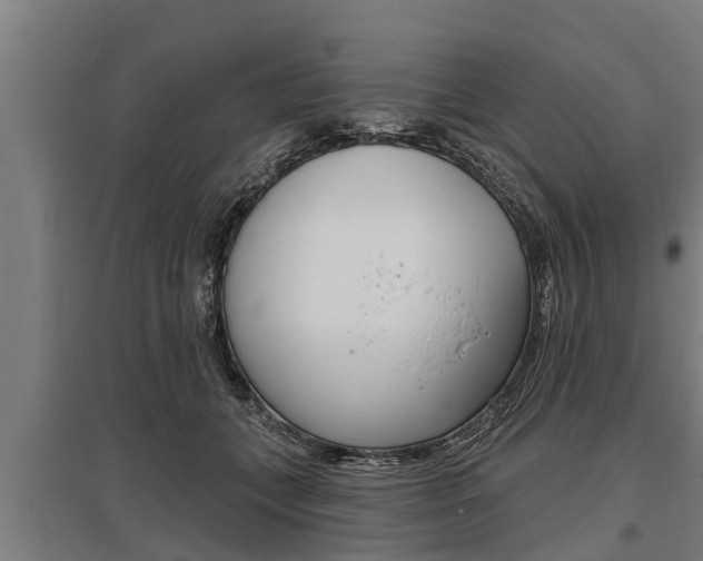 X0000096130559200801180832