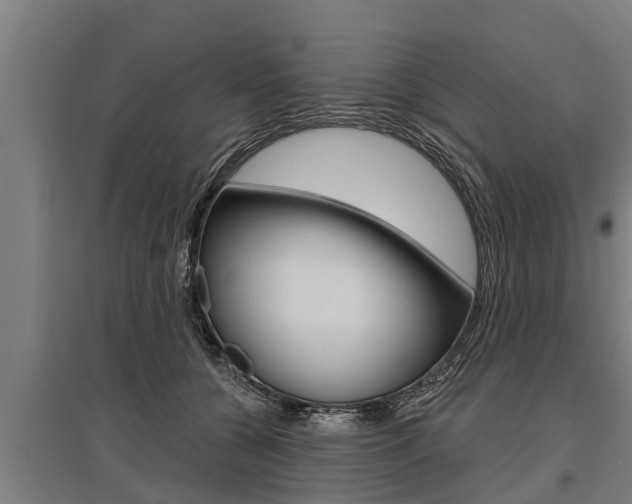 X0000096130560200801180832