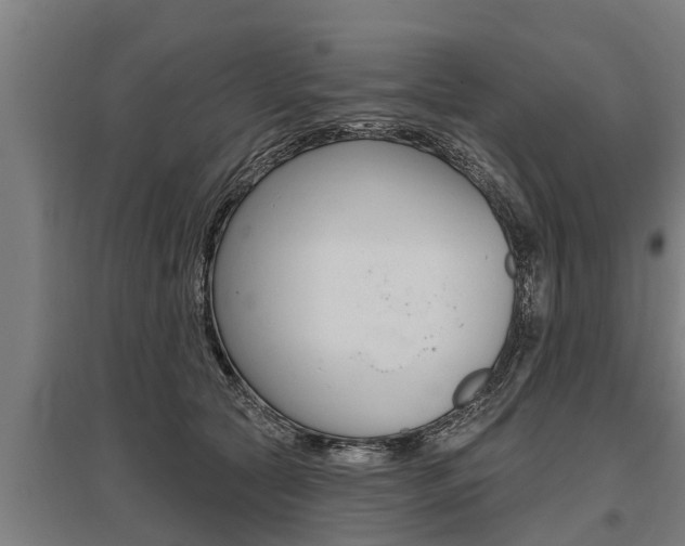 X0000096130561200801180832