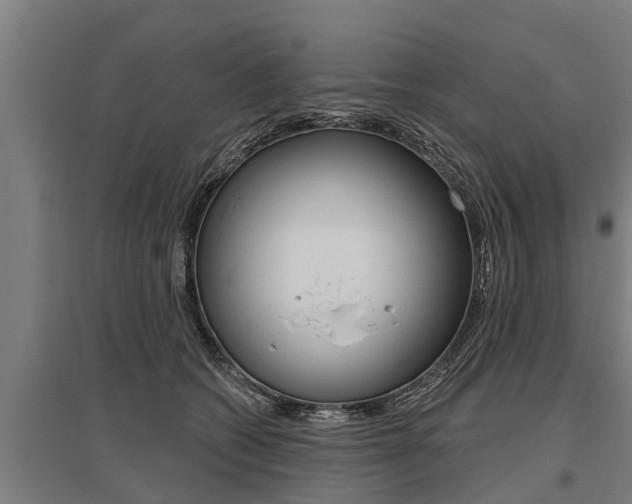 X0000096130562200801180832