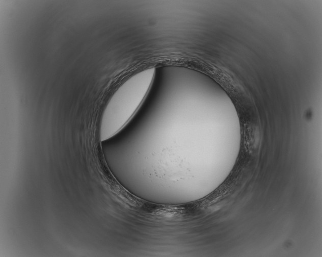 X0000096130563200801180832