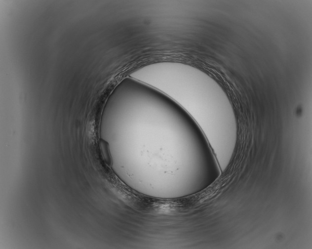 X0000096130564200801180832