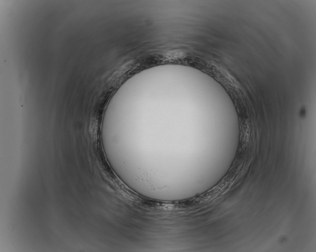 X0000096130565200801180832