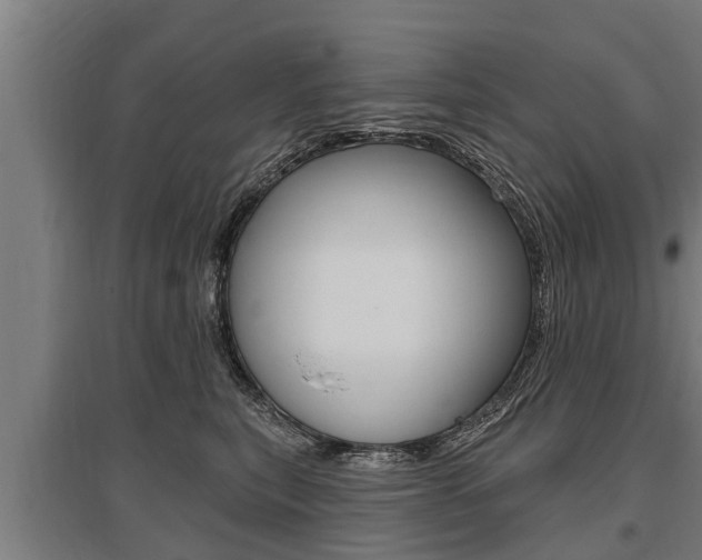 X0000096130567200801180832