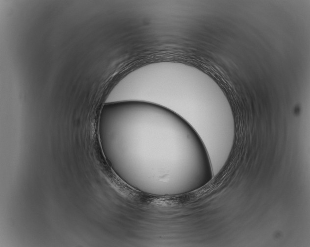 X0000096130568200801180832