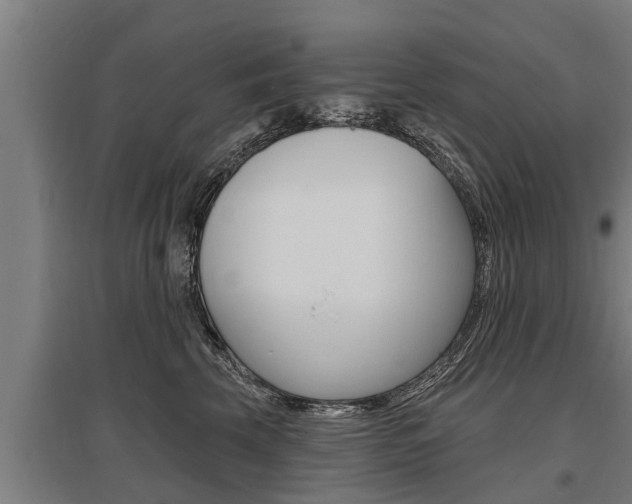 X0000096130569200801180832