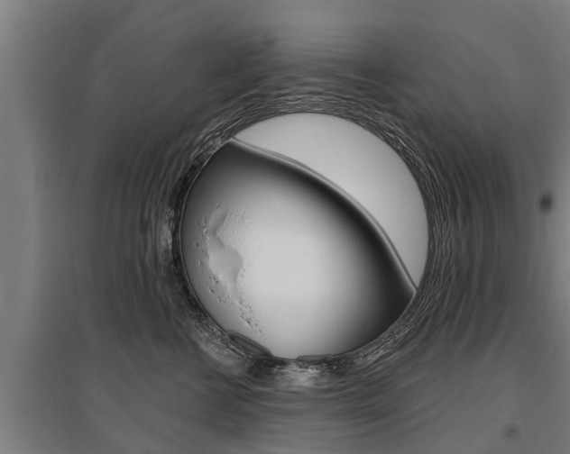 X0000096130570200801180832