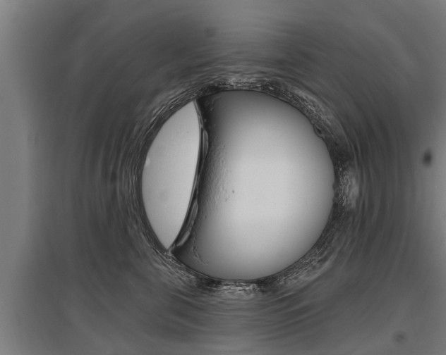 X0000096130571200801180832