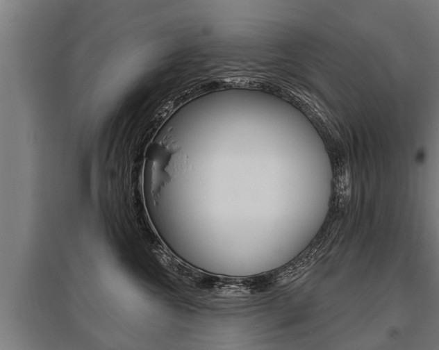 X0000096130572200801180832