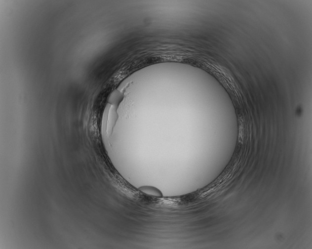 X0000096130573200801180832