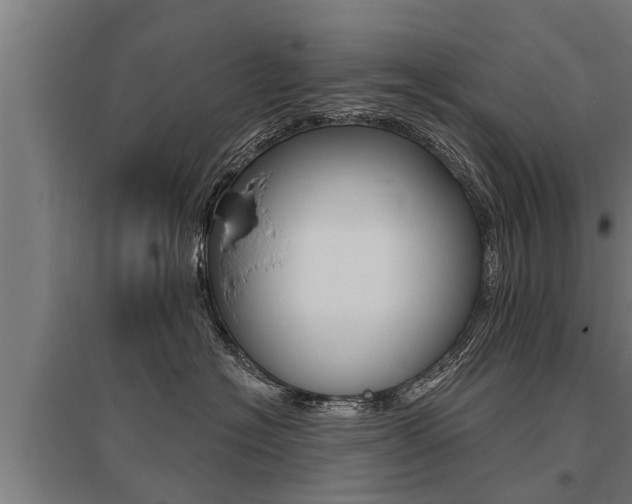 X0000096130574200801180832