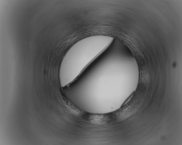 X0000096130575200801180832