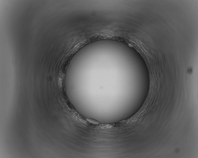 X0000096130576200801180832