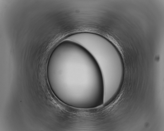 X0000096130577200801180831