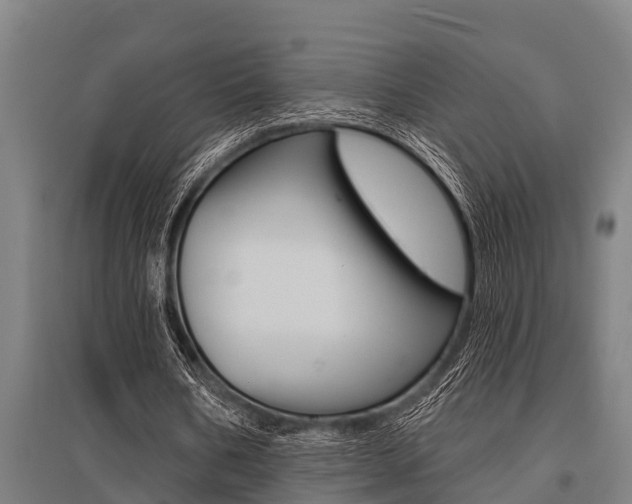 X0000096130578200801180831