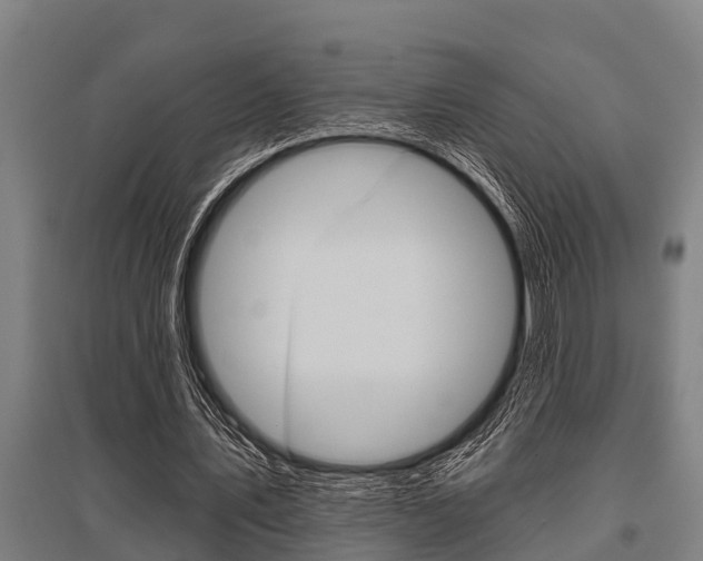 X0000096130579200801180831