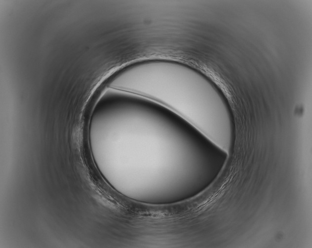 X0000096130580200801180831