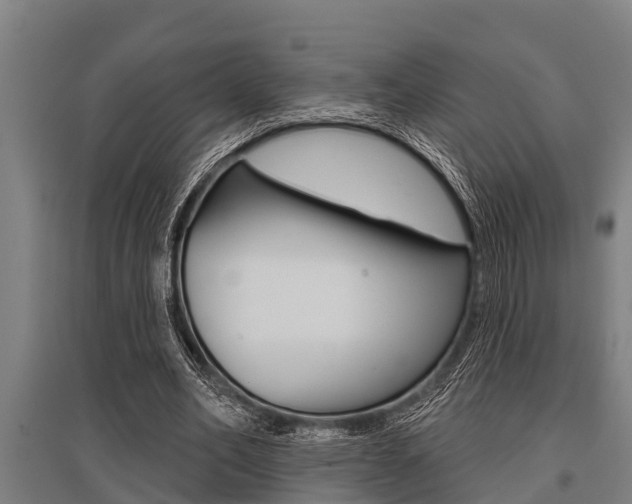 X0000096130582200801180831
