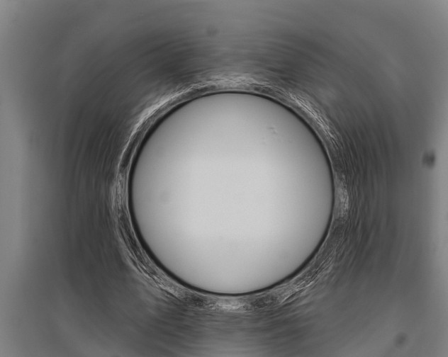 X0000096130583200801180831