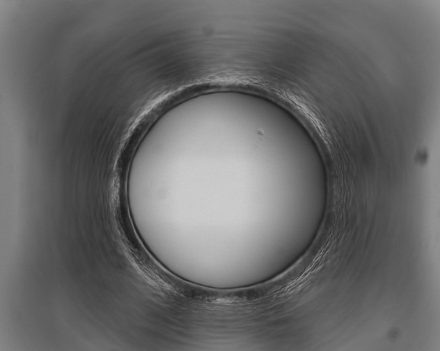X0000096130584200801180831