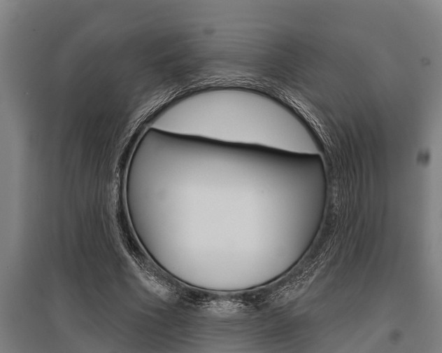 X0000096130586200801180831